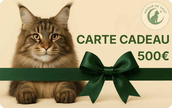 Carte cadeau chat 500 euros plaisir et bonheur félin Amour de Chat