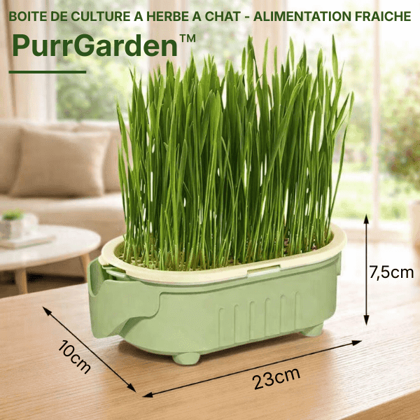 Dimensions du bac de culture herbe a chat hydroponique - PurrGarden™