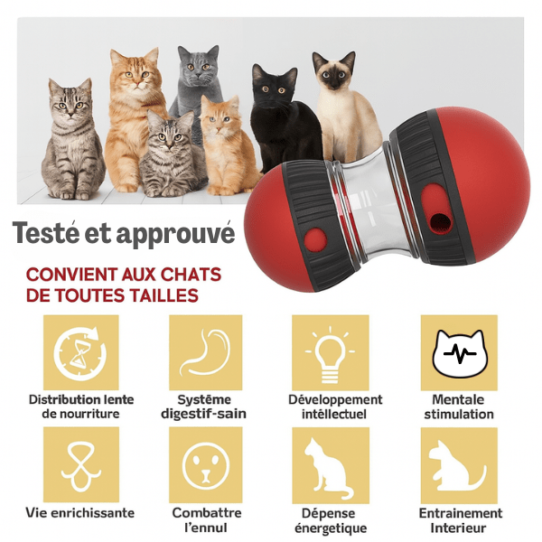 Distributeur de croquettes pour chat lent jouet chat chaton anti glouton - Whisker Maze™