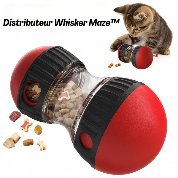 Distributeur de croquettes pour chat jouet ludique stimulant - Whisker Maze™