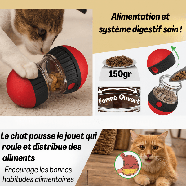 Distributeur de croquettes pour chat pour alimentation saine et habitudes alimentaires - Whisker Maze™