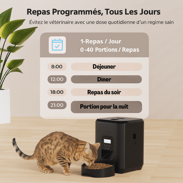 Distributeur de croquettes pour chat repas programmable tous les jours | CroqTech™