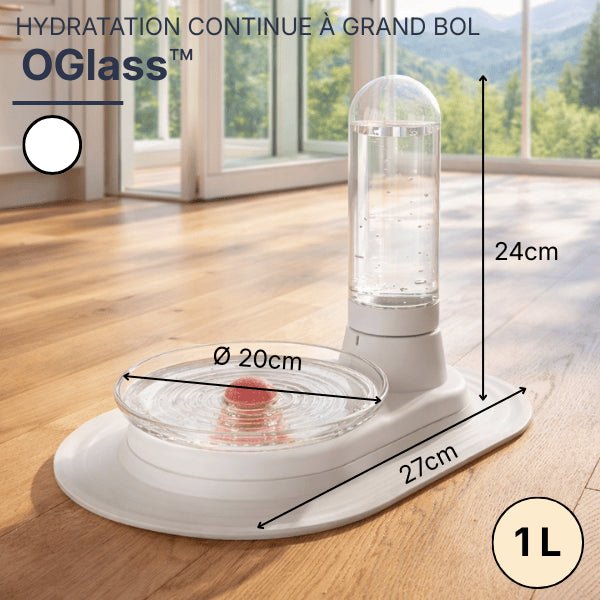 Distributeur eau chat sans fil à filtre permanent avec dimensions détaillées et capacité 1 L