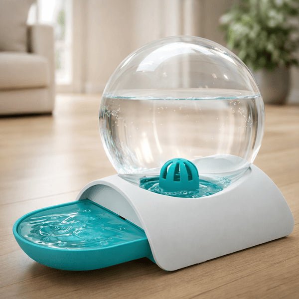 Distributeur eau pour chat sans fil et sans filtre couleur turquoise offrant une hydratation continue