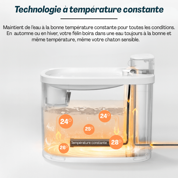 Fontaine a eau chat avec technologie température constante confort
