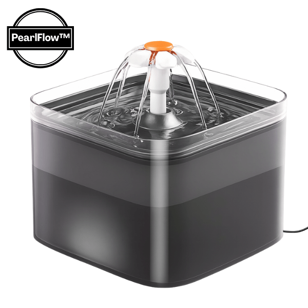 Fontaine a eau chat noir carré fleuron led apaisante avec macaron automatique PearlFlow™