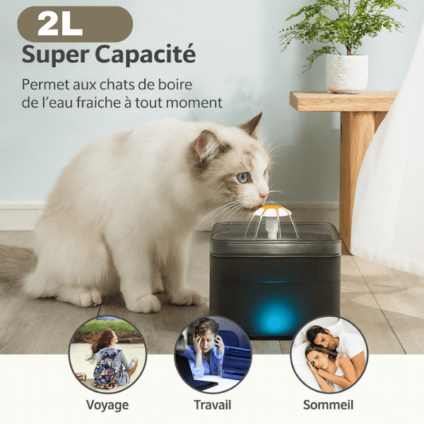 Fontaine à eau pour chat capacité idéale 2 L hydratation autonome pour absences PearlFlow™
