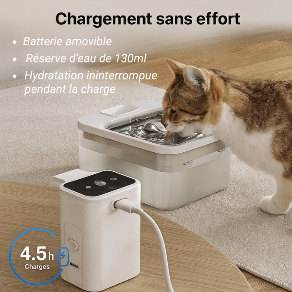 Fontaine eau chat avec batterie amovible rechargeable partout hydratation constante Olyss™