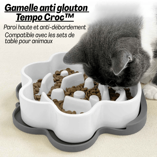 Gamelle anti glouton chat | Tempo Croc™ - Amour de Chat