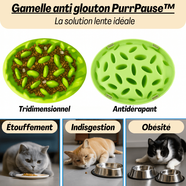 Gamelle anti glouton | PurrPause™ - Amour de Chat