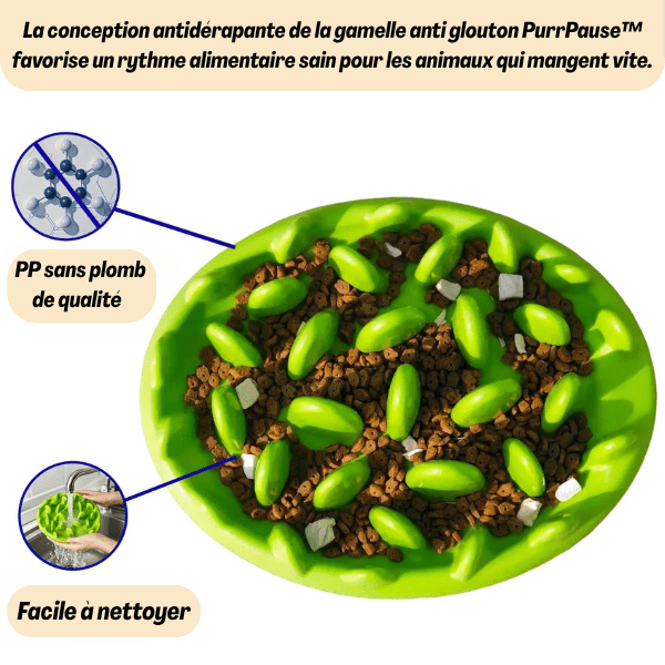 Gamelle anti glouton | PurrPause™ - Amour de Chat