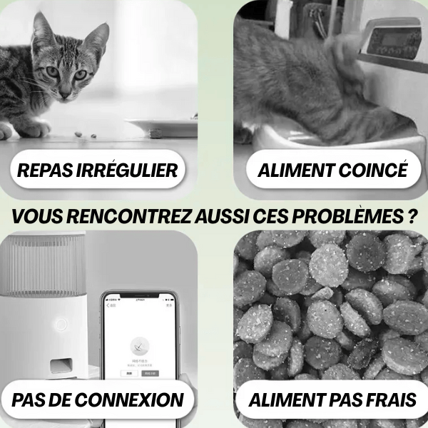 Gamelle automatique chat sans fil pour habitudes alimentaires répond à tous les inconvénients - Minute-Croq™