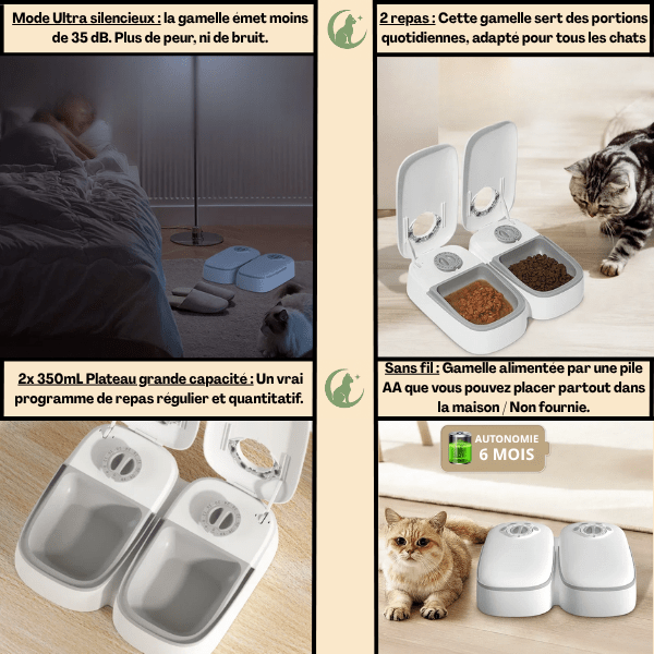 Gamelle automatique chat sans fil silencieuse 2en1 double repas 2x350 mL - Minute-Croq™