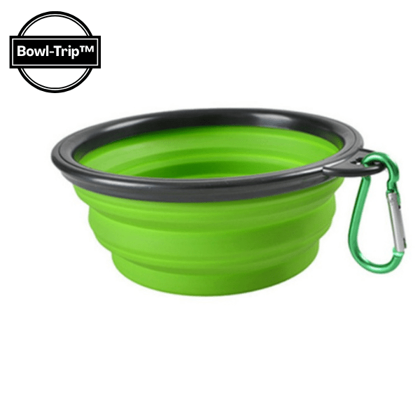 Gamelle chat silicone pliable verte avec macaron Bowl-Tripâą