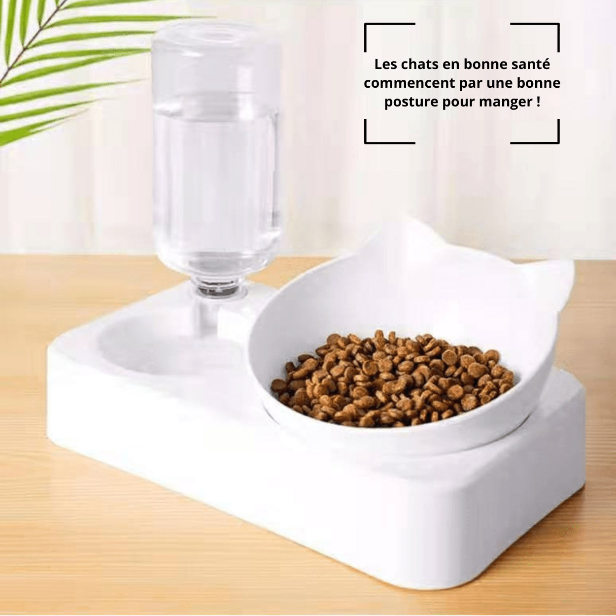 Gamelle pour chat | Croc-Waterâą - Amour de Chat
