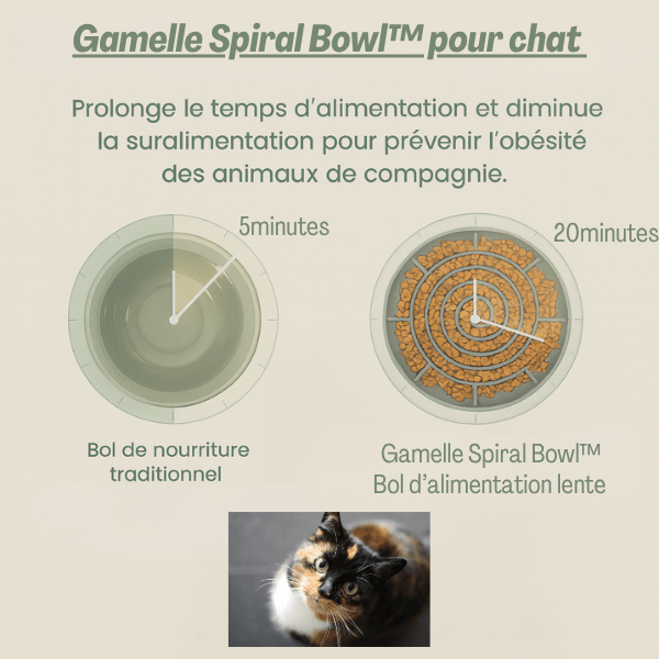 Gamelles anti glouton chat | Spiral Bowlâą - Amour de Chat