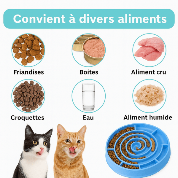 Gamelles anti glouton chat | Spiral Bowlâą - Amour de Chat