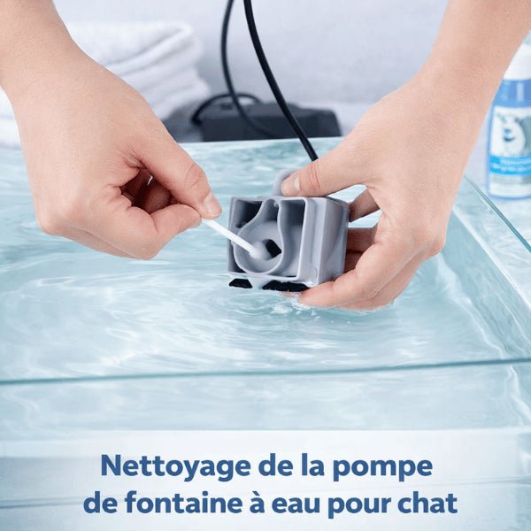 Nettoyage de la pompe de fontaine à eau pour chat avec brosse fine dans l'eau