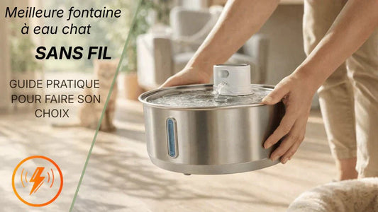 Meilleure fontaine à eau chat sans fil selon votre besoin : guide comparatif pour choisir