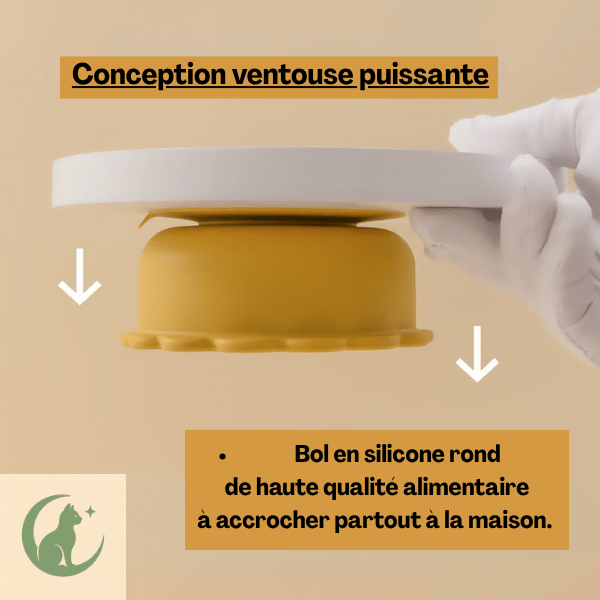 Bol chaton jaune ronde en silicone stable accroché par sa ventouse puissante - SikBowl™