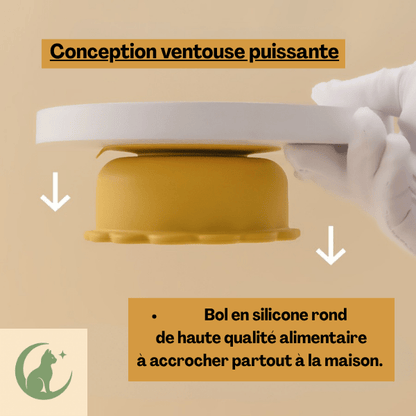 Bol chaton jaune ronde en silicone stable accroché par sa ventouse puissante - SikBowl™