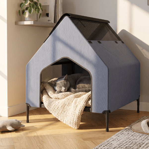 Abri chat spacieux avec toit haut offrant un espace de repos confortable intérieur
