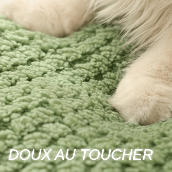 Abri chats en tissu texturé ultra doux procurant un contact moelleux au félin