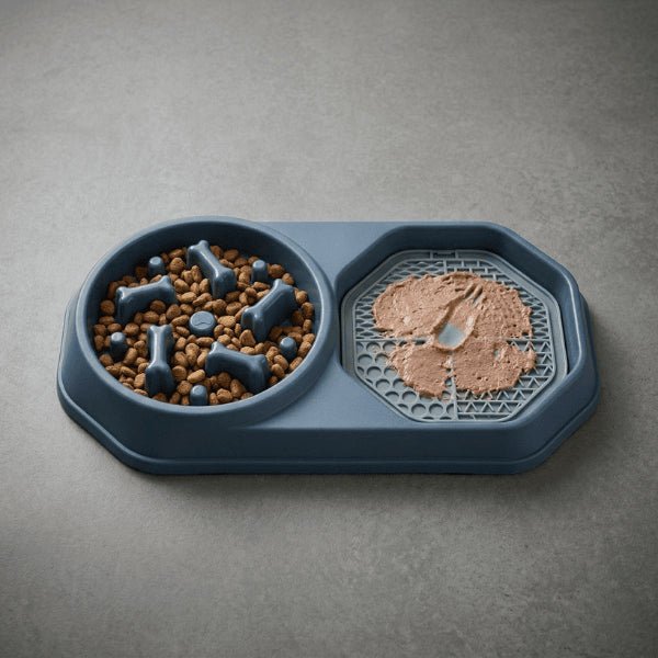 Anti glouton chat double repas complet croquettes et pâtée digestion lente efficace