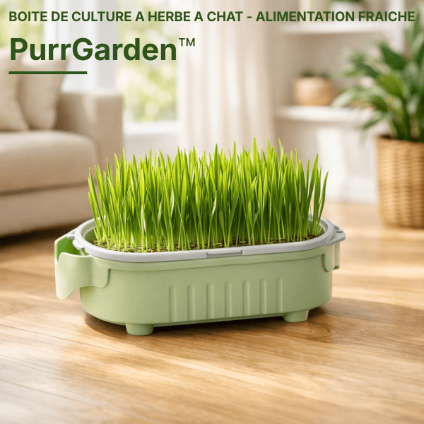 Bac de culture herbe pour chat hydroponique vert menthe en matériau PP alimentaire - PurrGarden™