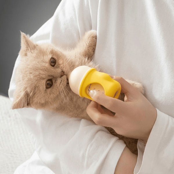 Chatons biberon alimentation facile main débit contrôlé sevrage sécurisé