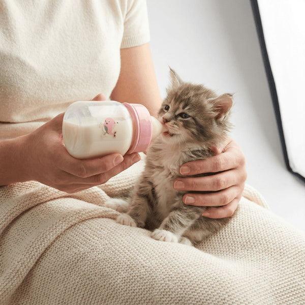 Biberon pour chaton alimentation douce pour chaton avec débit précis et sécurisé