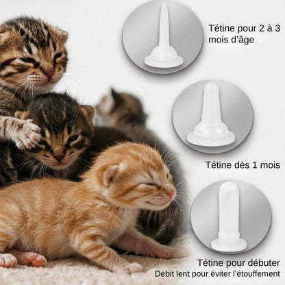 Biberon pour chaton avec tétines adaptables selon âge pour alimentation sécurisée et progressive