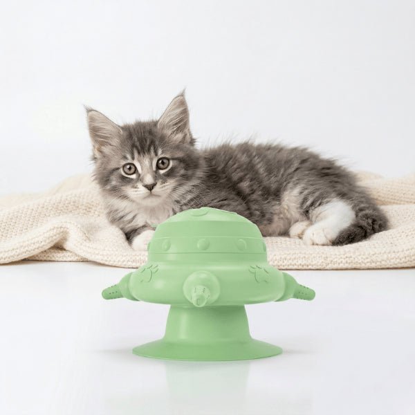 Biberon pour chatons 4 tétines silicone stable pour multi sevrage