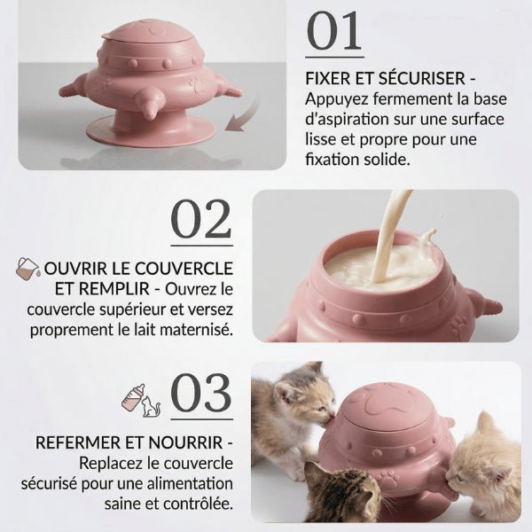 Biberon pour chatons guide utilisation remplissage facile et alimentation contrôlée pour sevrage