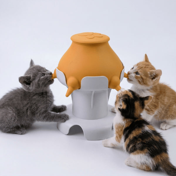 Biberon pour chatons multi tétines permet allaitement simultané sécurisé et autonomie nourrissage