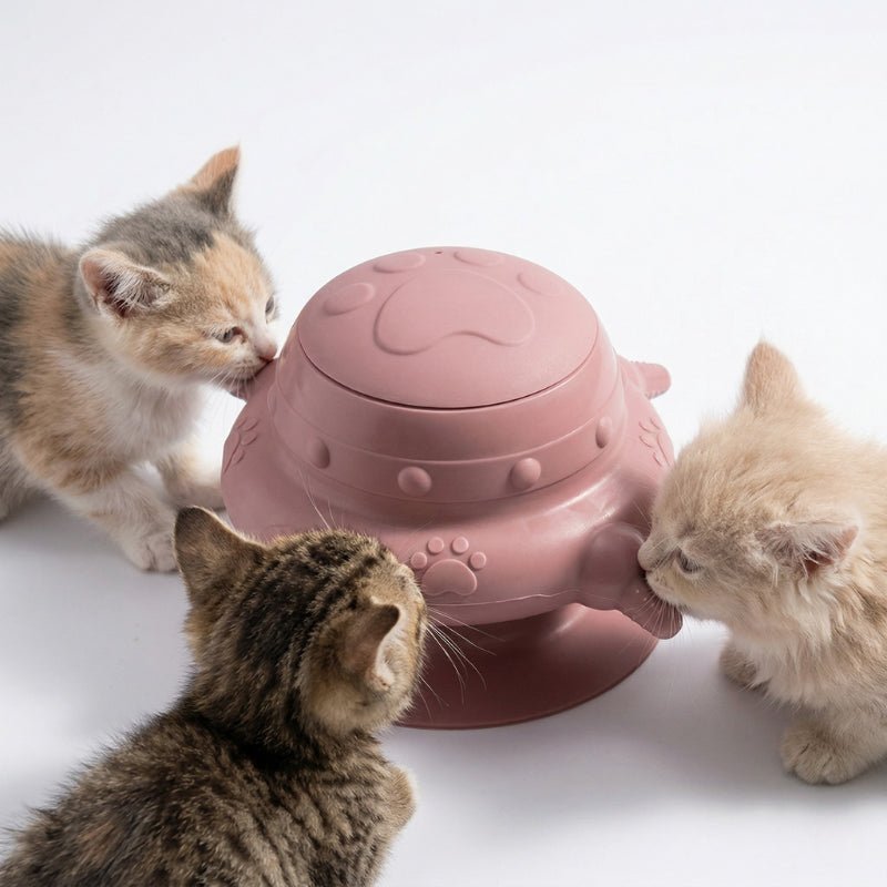 Biberon pour chatons silicone rose multi tétines débit doux anti étouffement sécurisé
