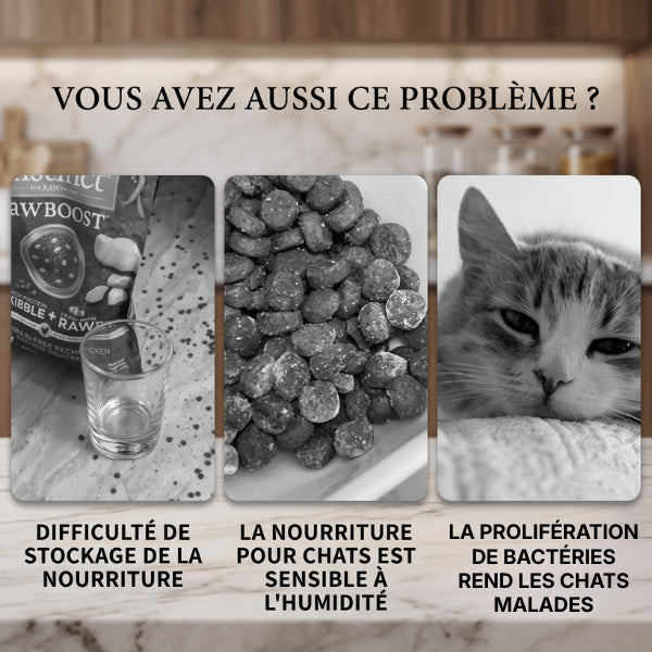 Boite croquette chat protégeant les aliments contre humidité bactéries et parasites alimentaires