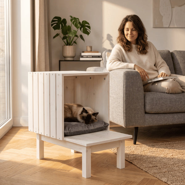 Cabane à chat intérieur moderne en bois blanche avec félin siamois qui dort paisiblement