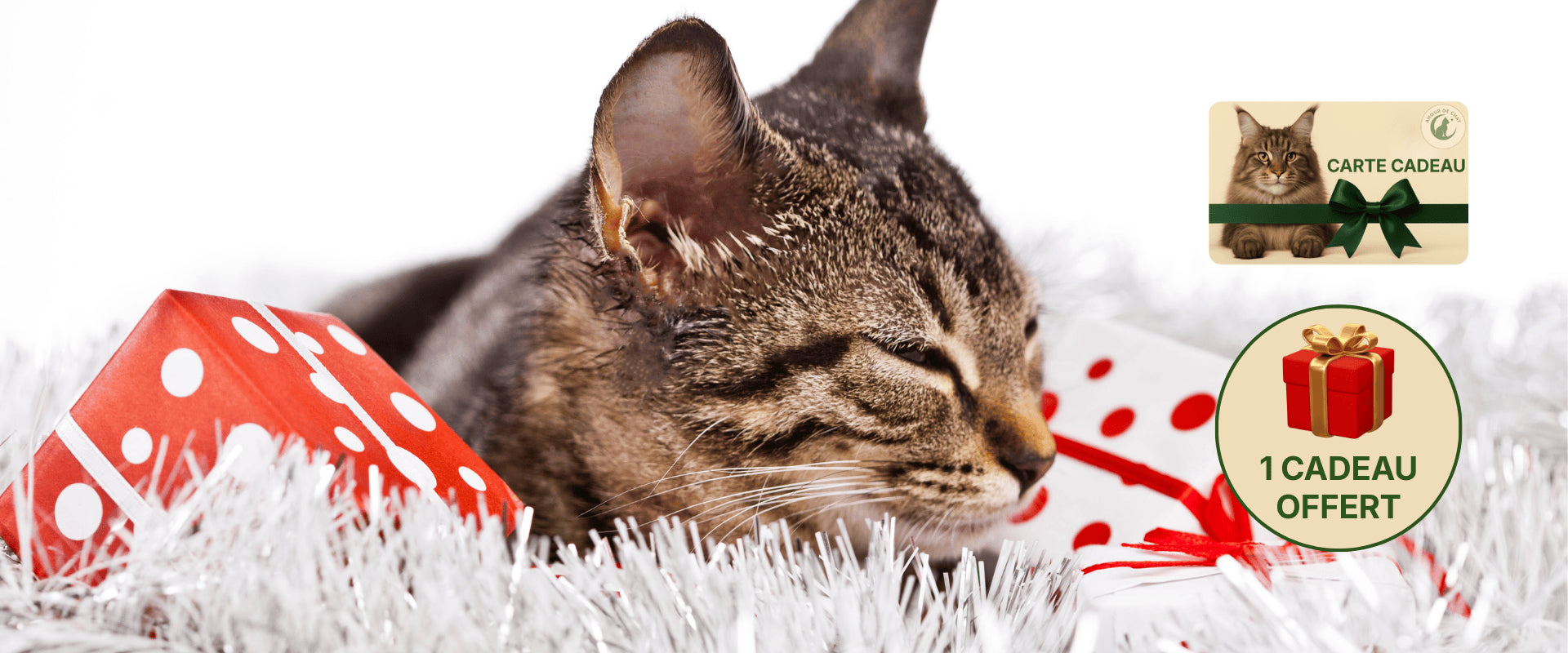 Cadeau chat carte cadeau fête de noël plaisir offrir et bonheur félin Amour de Chat
