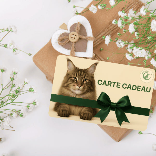Cadeau chat plaisir offrir carte cadeau évènement fête anniversaire bonheur félin