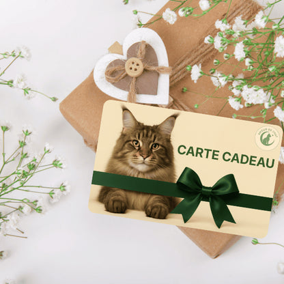 Cadeau chat plaisir offrir carte cadeau évènement fête anniversaire bonheur félin