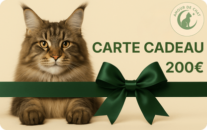 Carte cadeau chat 200 euros plaisir et bonheur félin Amour de Chat