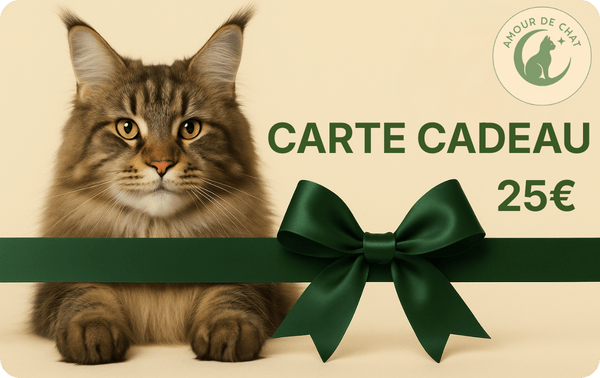 Carte cadeau chat 25 euros plaisir et bonheur félin Amour de Chat
