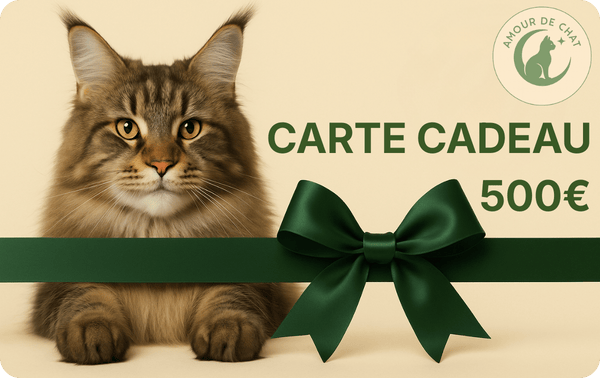 Carte cadeau chat 500 euros plaisir et bonheur félin Amour de Chat