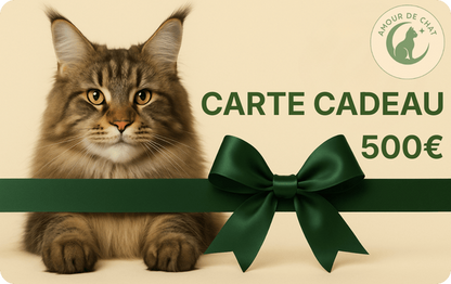 Carte cadeau chat 500 euros plaisir et bonheur félin Amour de Chat