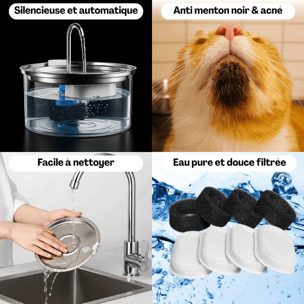 Chat distributeur eau automatique inox pratique filtrée anti menton noir facile à nettoyer Ionix™