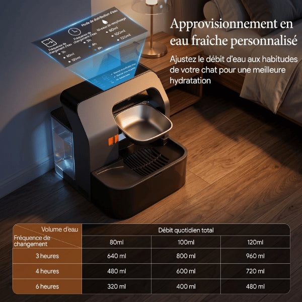 Chat distributeur eau programmable renouvelant automatiquement une eau toujours propre saine