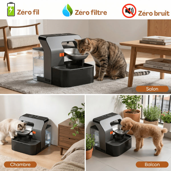 Chat distributeur eau sans fil silencieux utilisable salon chambre balcon quotidien
