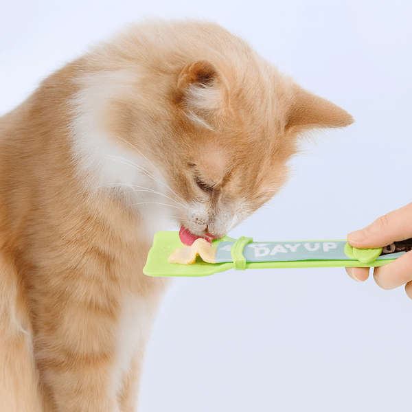 chat roux mange dans distributeur nourriture chat MeowSpoon™ vert