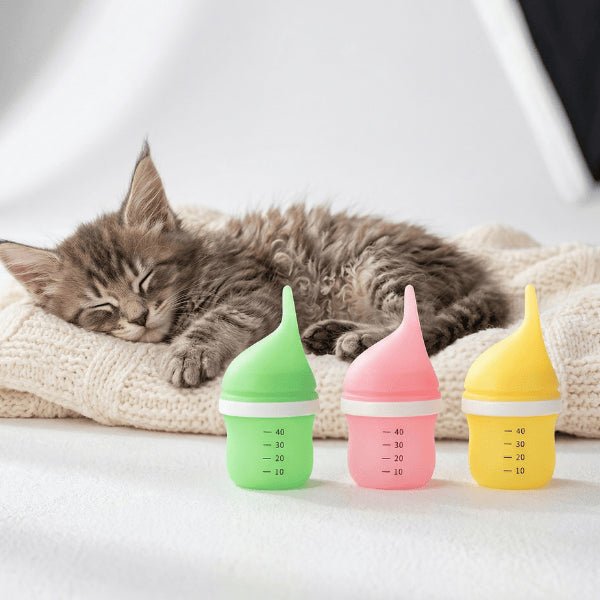 Chaton biberon 40 ml débit précis pour sevrage allaitement maîtrisé